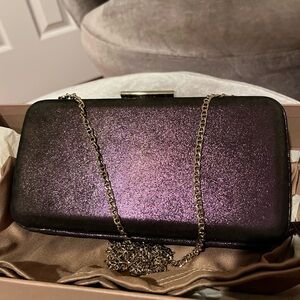 Gianvito Rossi Bella clutch bag